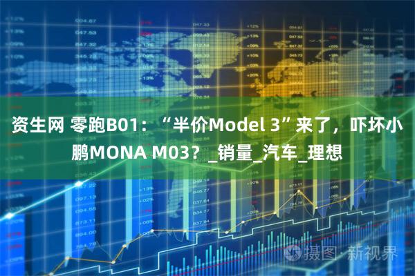 资生网 零跑B01：“半价Model 3”来了，吓坏小鹏MONA M03？_销量_汽车_理想