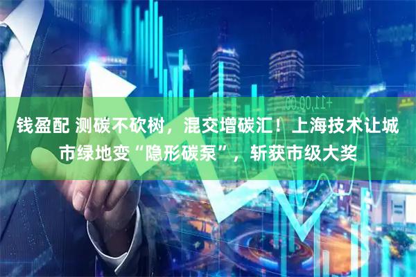 钱盈配 测碳不砍树，混交增碳汇！上海技术让城市绿地变“隐形碳泵”，斩获市级大奖