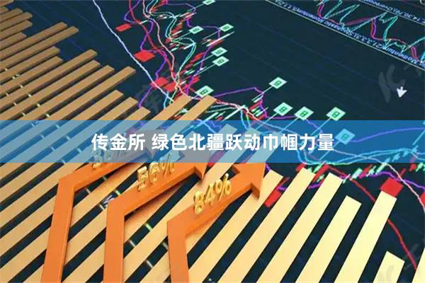 传金所 绿色北疆跃动巾帼力量