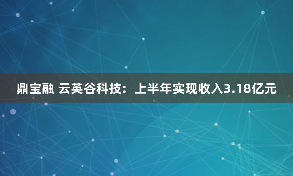 鼎宝融 云英谷科技：上半年实现收入3.18亿元